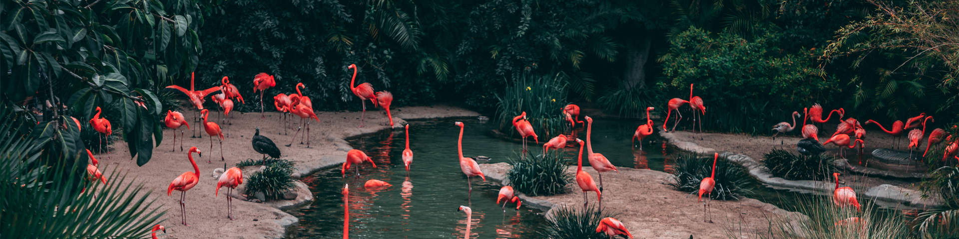 北京易杨国际旅行社有限公司驻马店第一网点